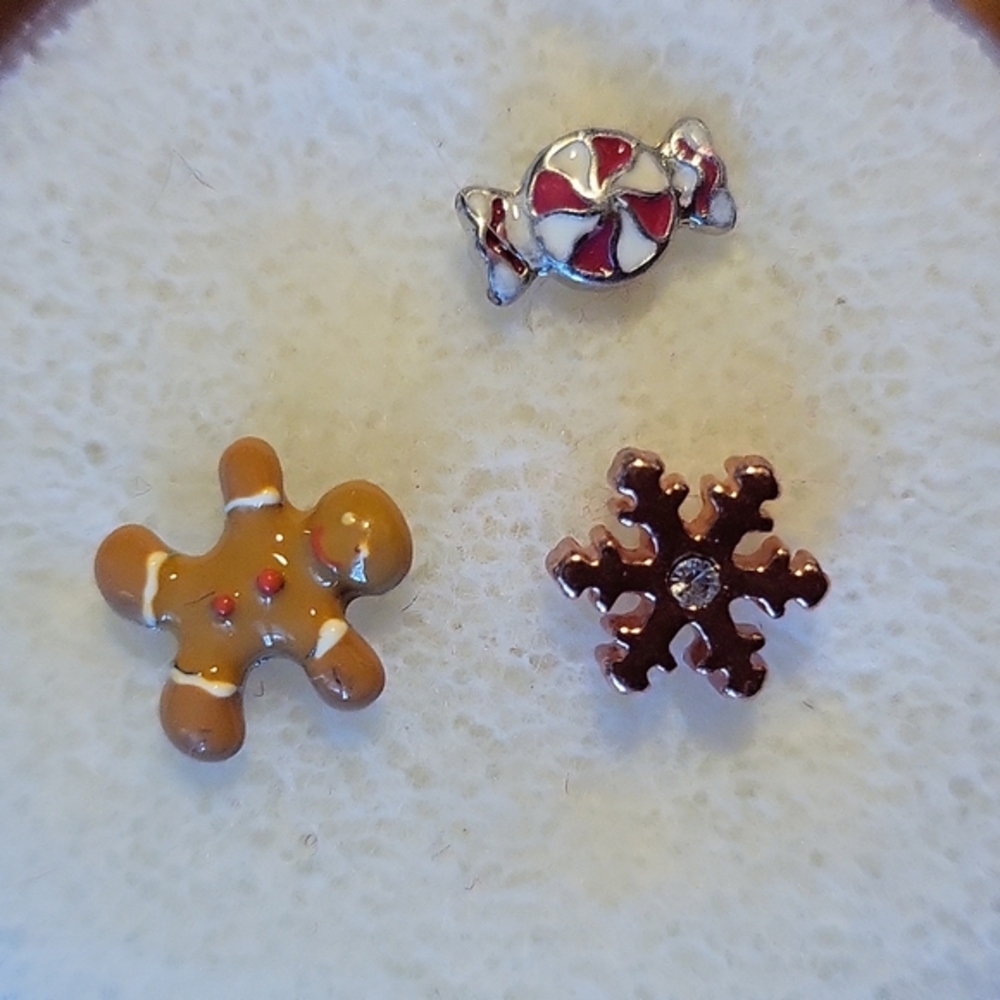 Origami Owl charm set of 3